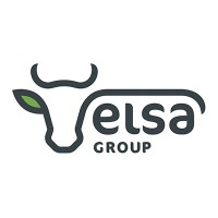 Elsa Group France